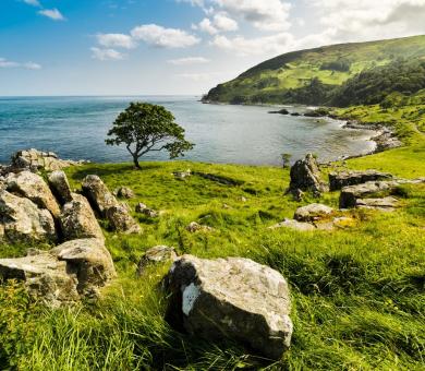 Đường rộng tối thiểu 3,5 m mới được x&acirc;y chung cư mini ở TP HCM-21